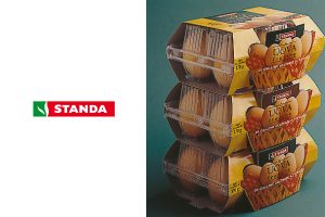corporate brand identity